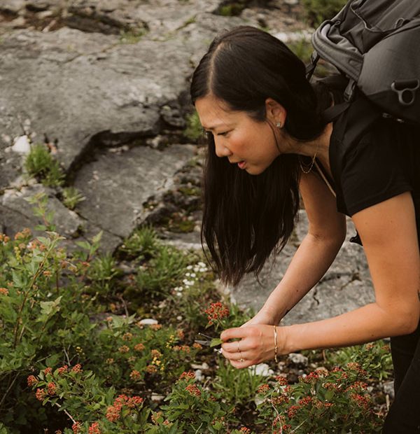 Dr. Tanya Lee picking flowers and herbs