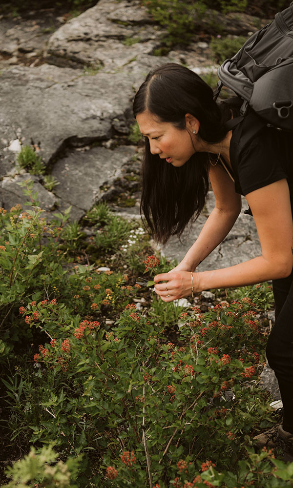 Dr. Tanya Lee picking flowers and herbs