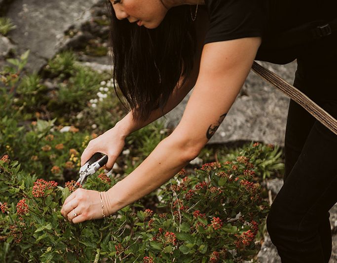 Dr. Tanya Lee picking flowers