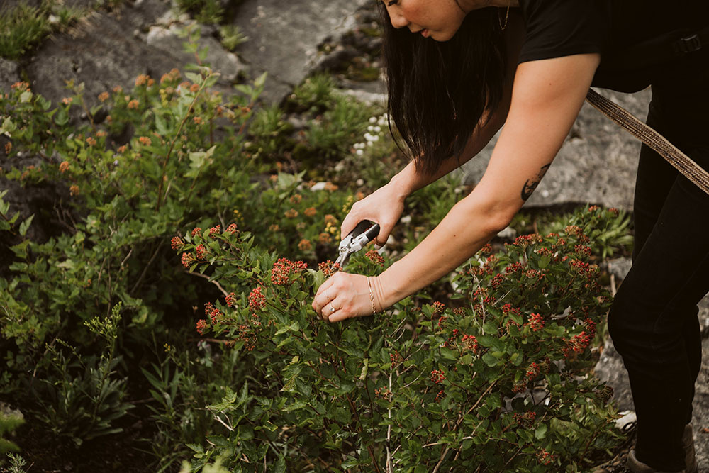 Dr. Tanya Lee picking flowers